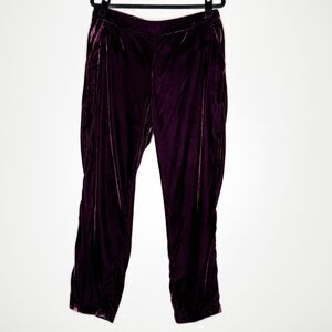 Banana Republic Hayden Pull-On Velvet Ankle Pants Purple Women's Size Small